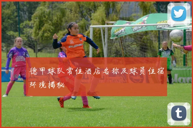 德甲球队常住酒店名称及球员住宿环境揭秘