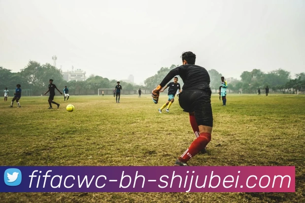 世界杯直播服务体系